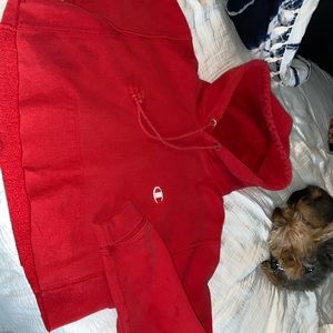 Champion cropped hoodie